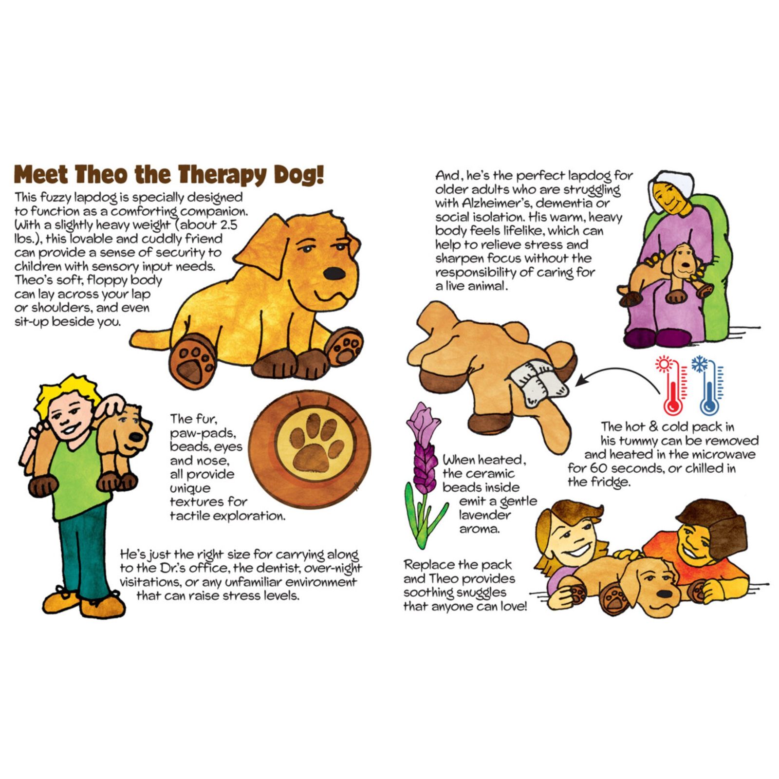 Theo the Therapy Dog