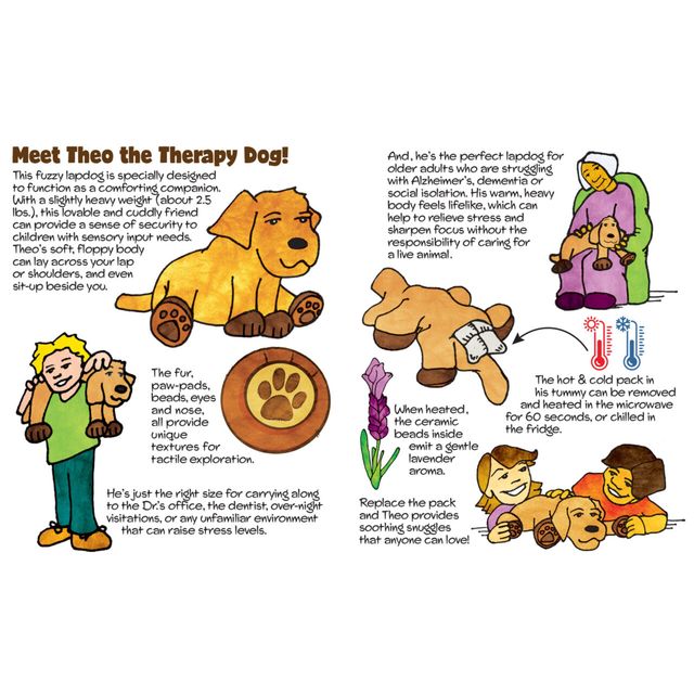 Theo the Therapy Dog
