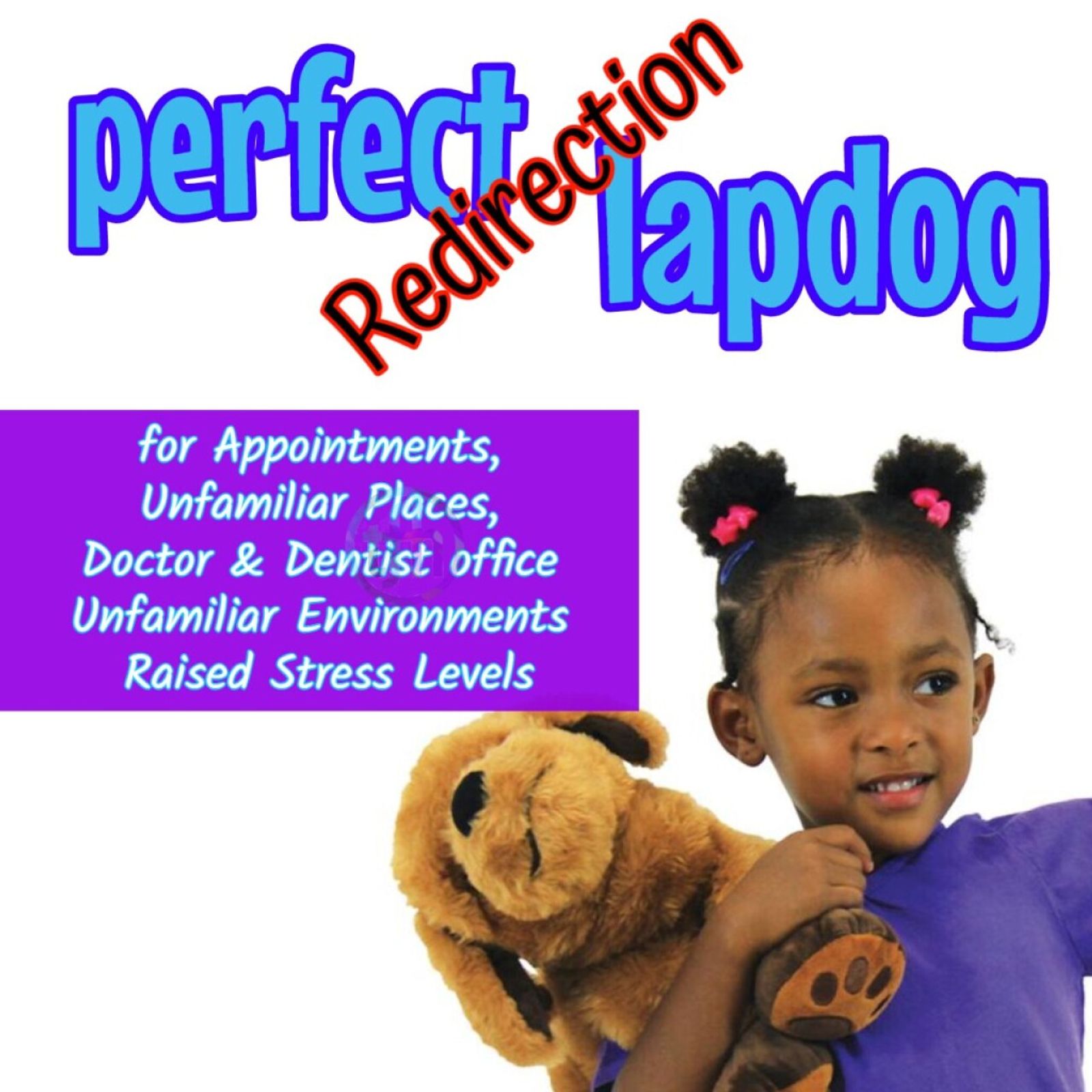 Theo the Therapy Dog