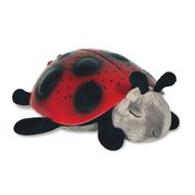 Star Ladybug - Illumination Sensory Toy