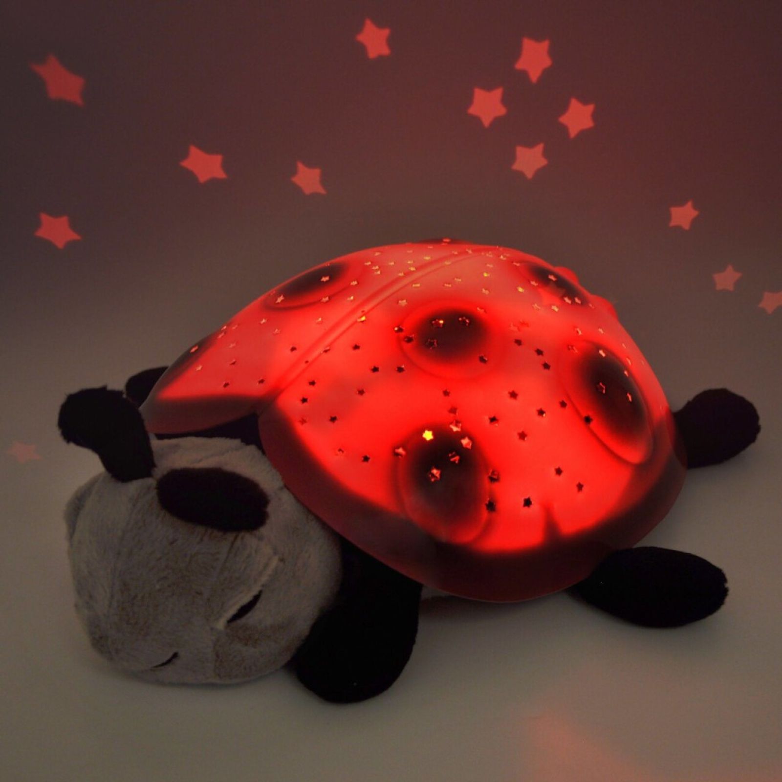 Star Ladybug - Illumination Sensory Toy
