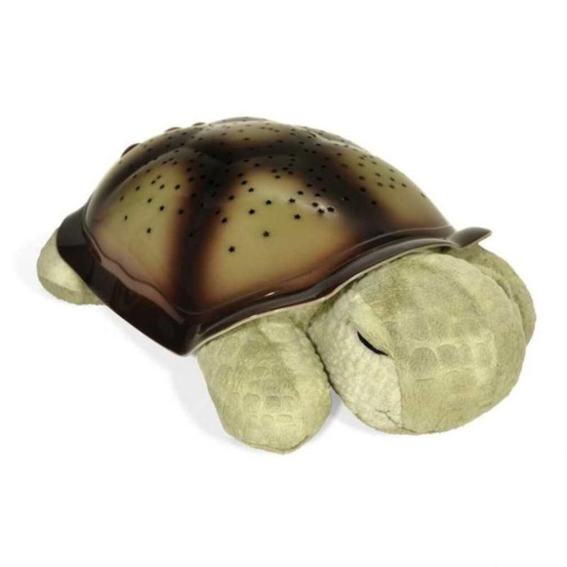 Twilight Turtle 