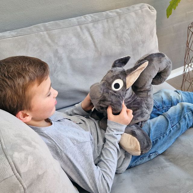 Sensoriska TFH huset