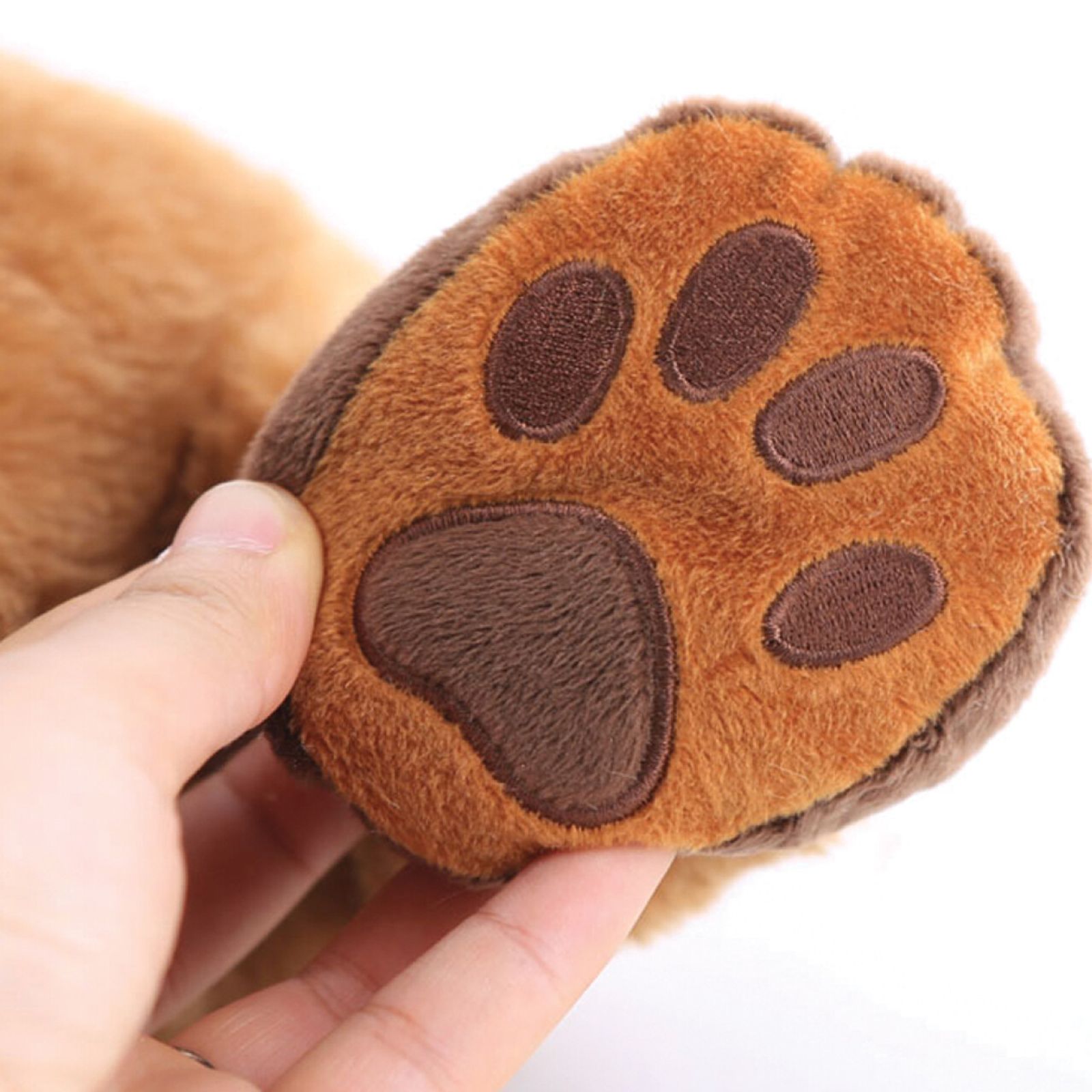 Theo the Therapy Dog