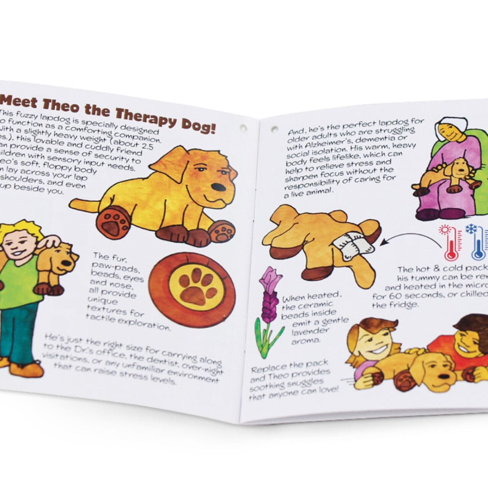 Theo the Therapy Dog