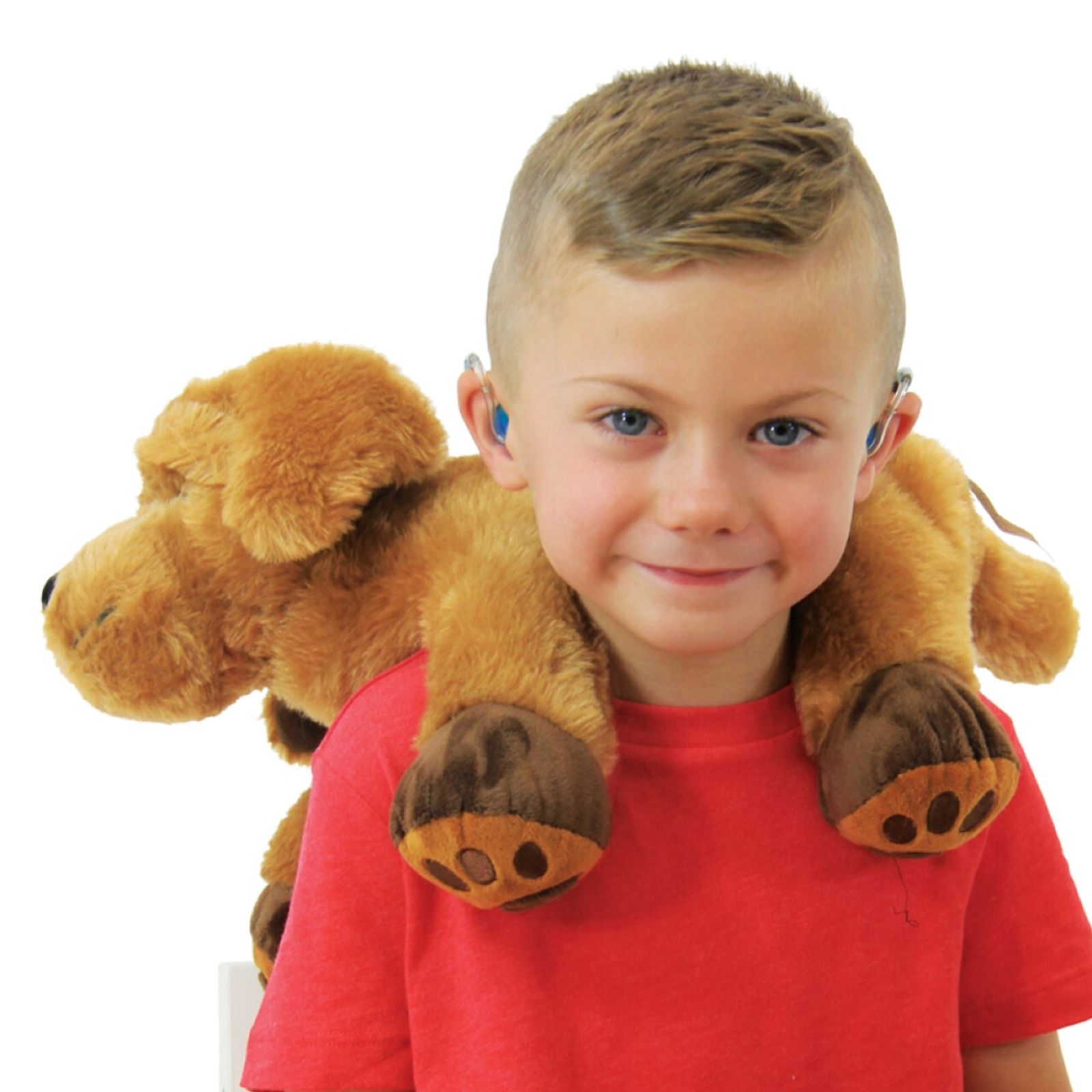 Theo the Therapy Dog