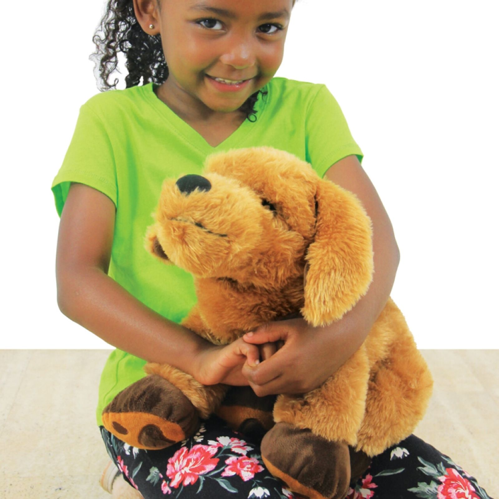 Theo the Therapy Dog