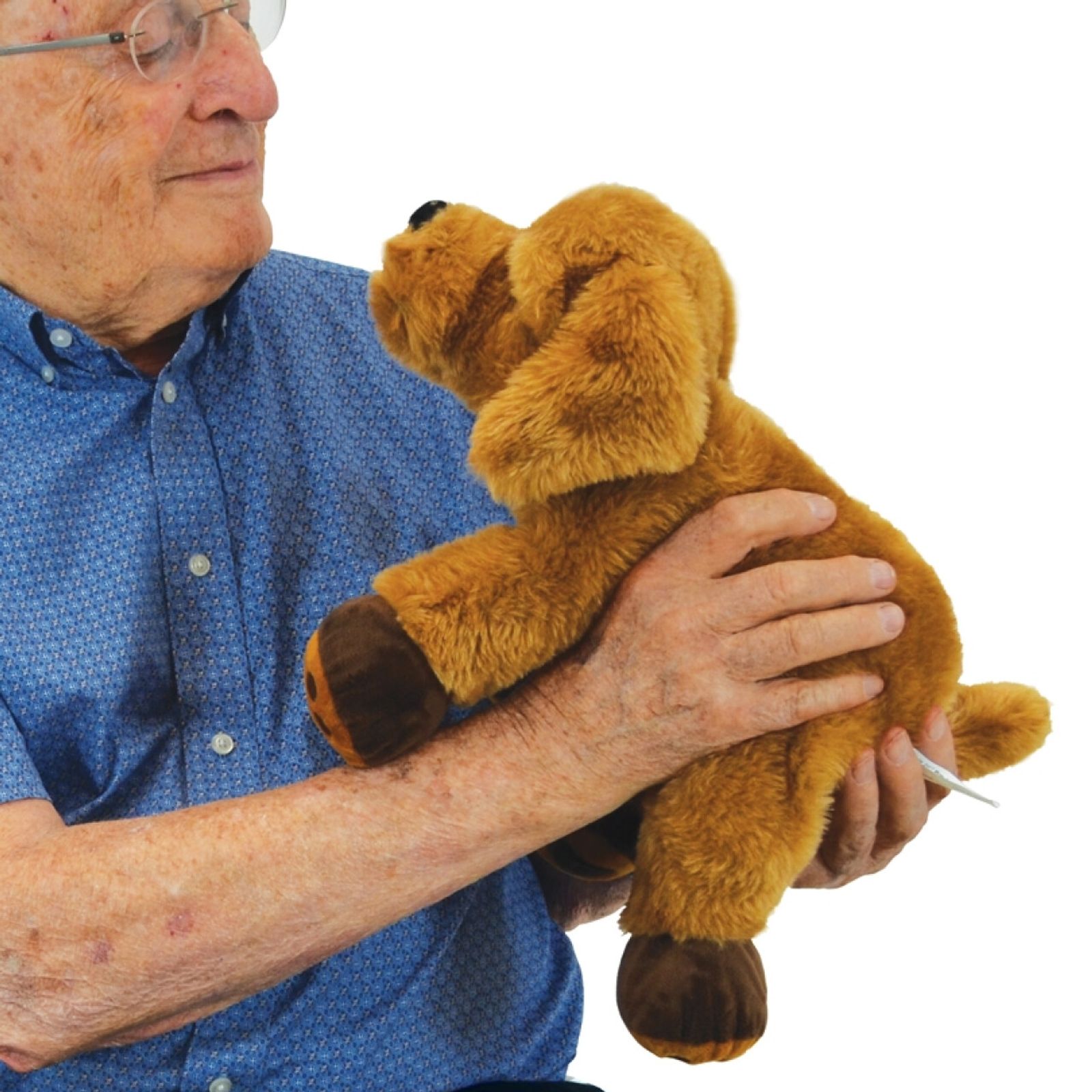 Theo the Therapy Dog