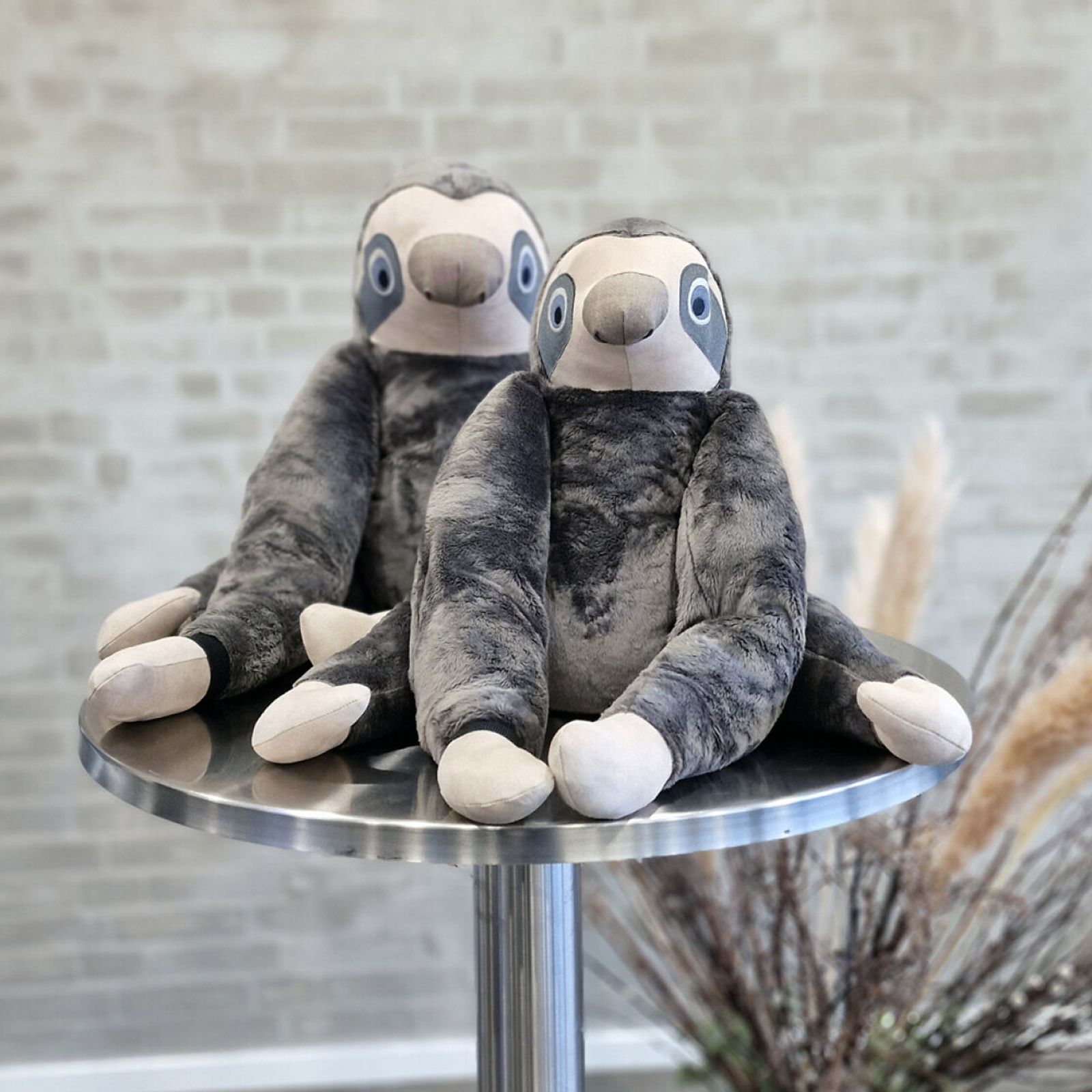 Tyngddjur - Mellan sengångaren Bent 4 kg