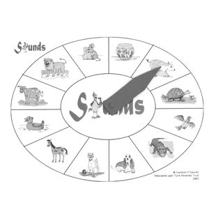 Sounds Around - Communication Sensory Toy