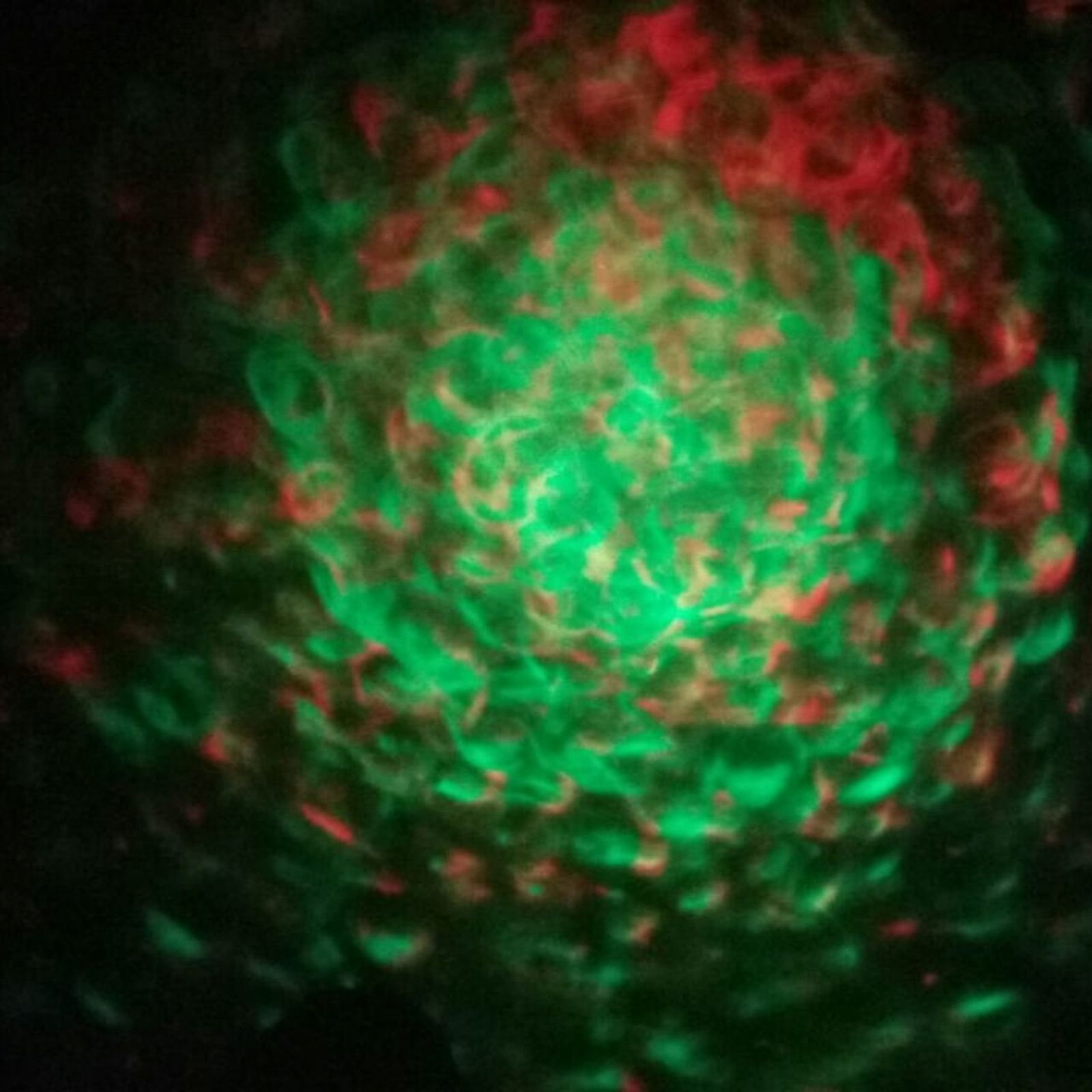 Water Effect Projector