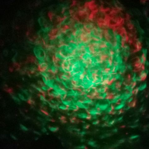 Water Effect Projector