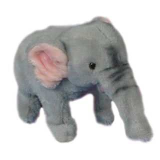 Baby Elephant - Unadapted