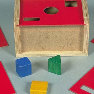 Shape Sorter Posting Box