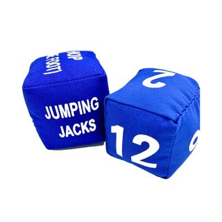 Fitness Dice - Pair