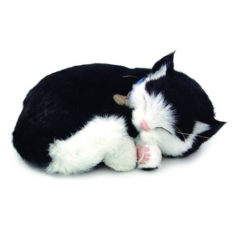 Breathing Cat - LIMITED SUPPLY