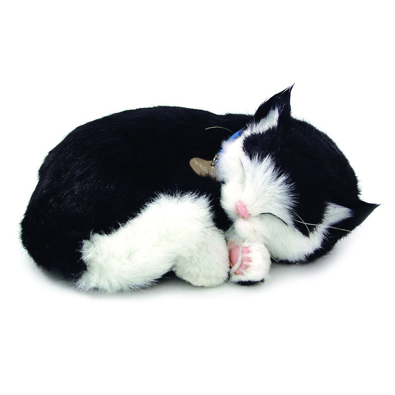 Breathing Cat - LIMITED SUPPLY