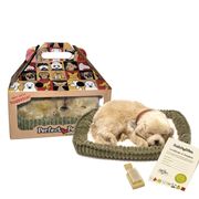 Golden Retreiver Companion 