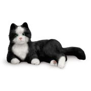 Black and White Companion Cat - Joy for All