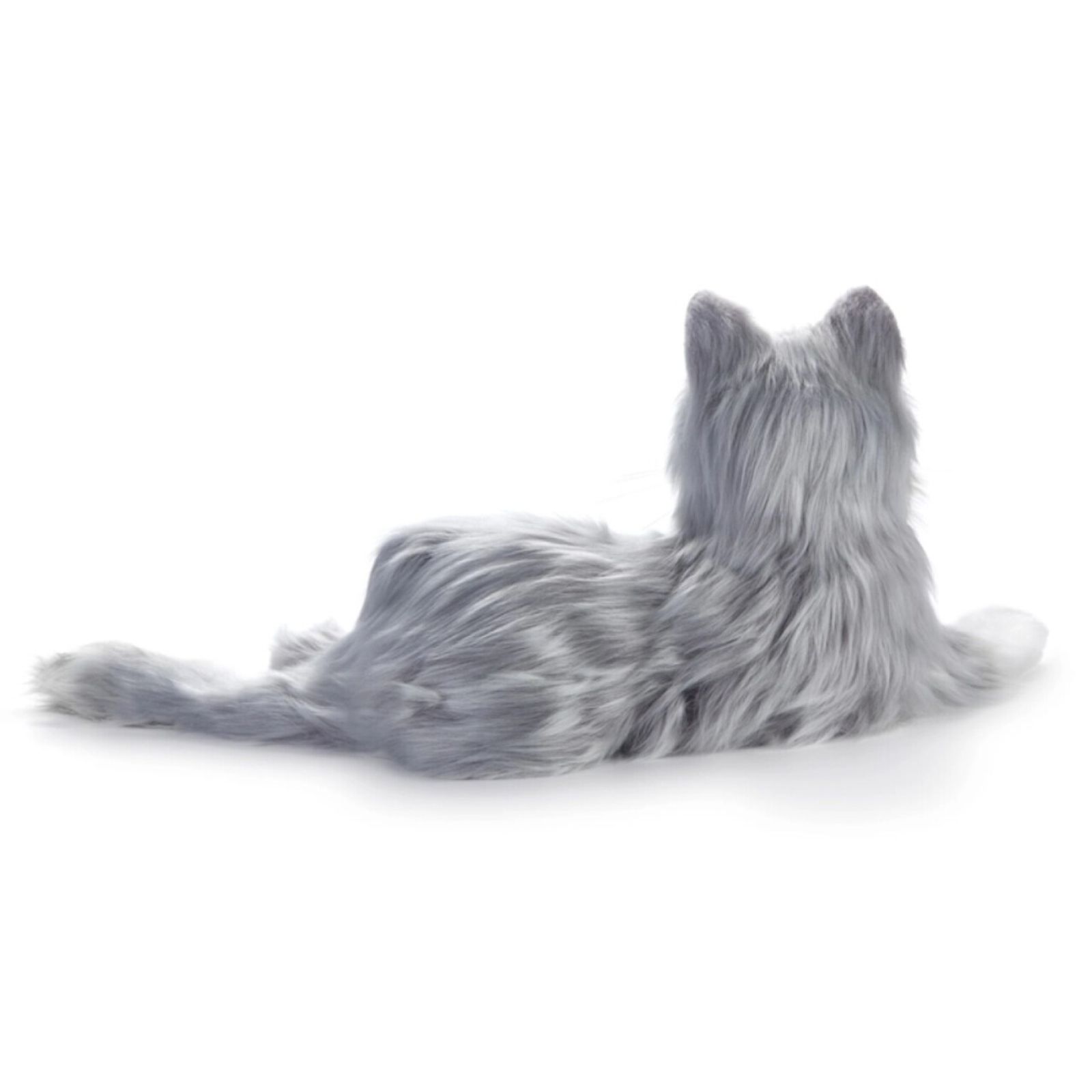 Silvergrå kompis katt - digital terapikatt