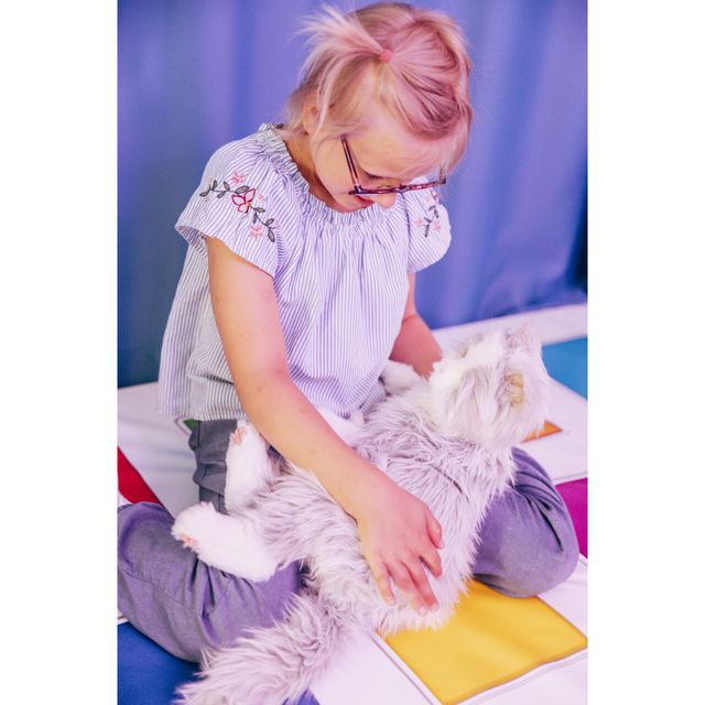 Joy for All Companion Cats