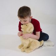 Companion Dog Cuddly Toy