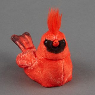 Cardinal - Walker Squarker      