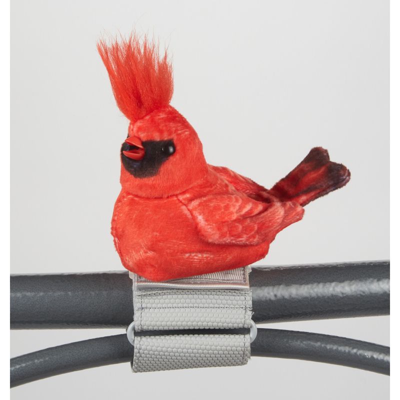 Cardinal - Walker Squarker      