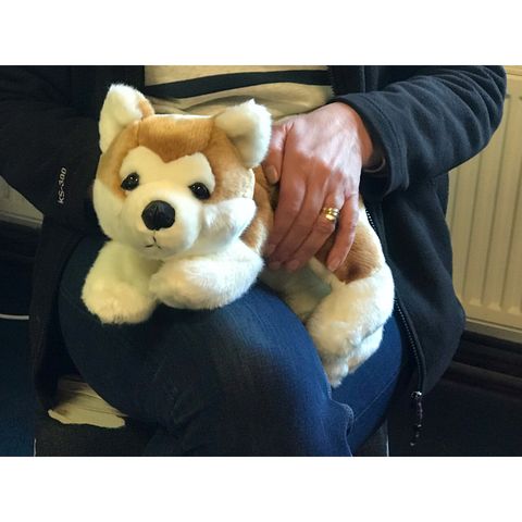 Hello Doggie