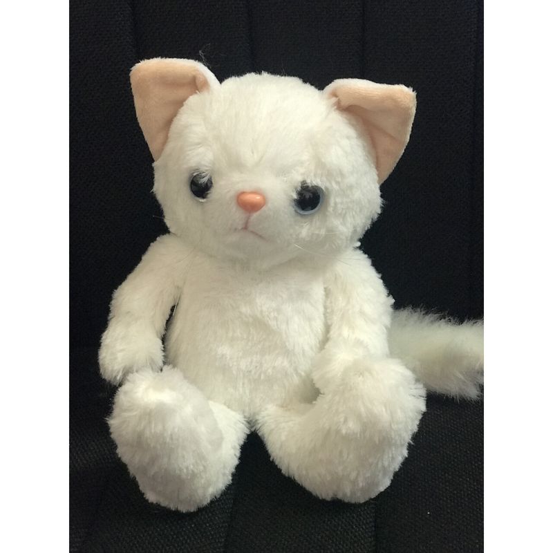 Hello White Cat