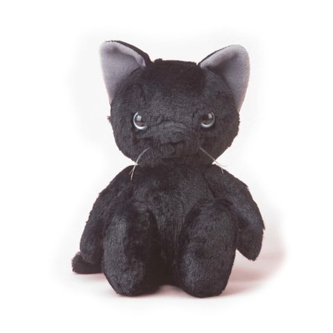 Hello Black Cat