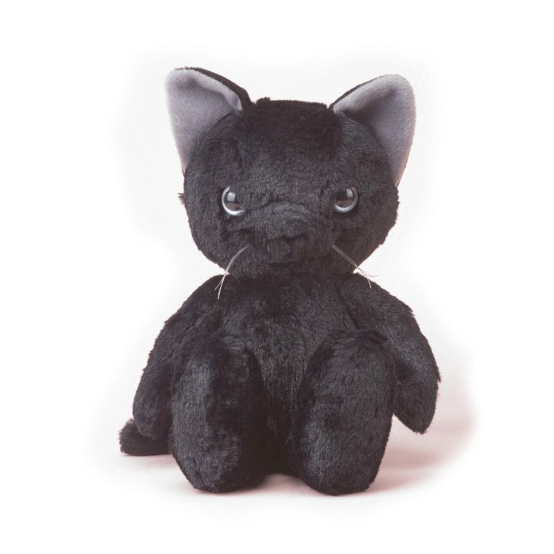 Hello Black Cat
