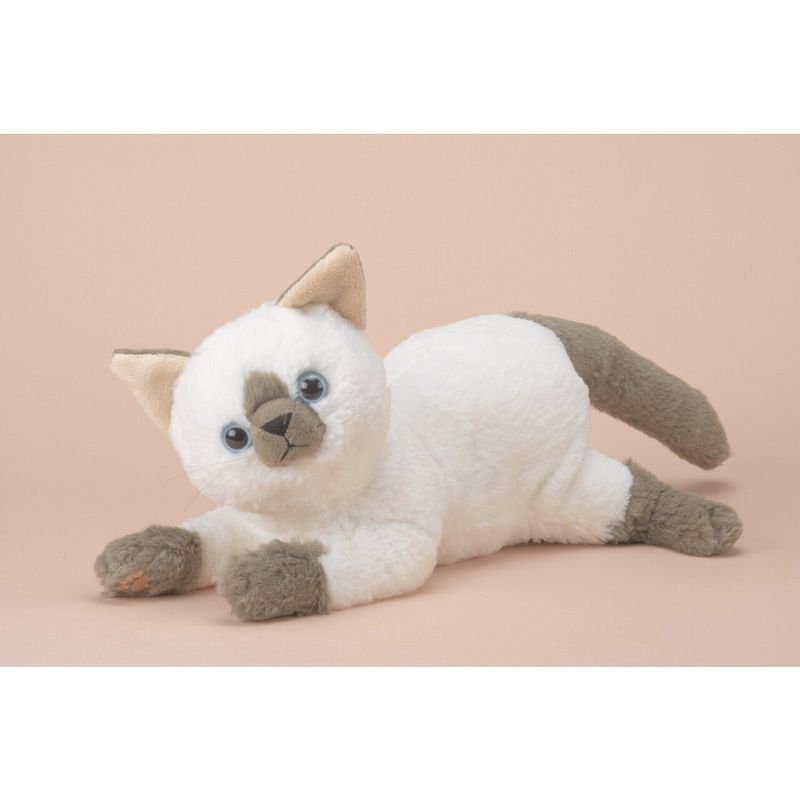 Hello Siamese Cat