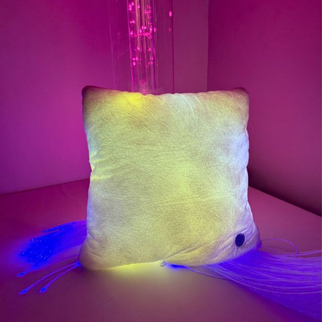 Moonlight Illuminated Soft Cushion