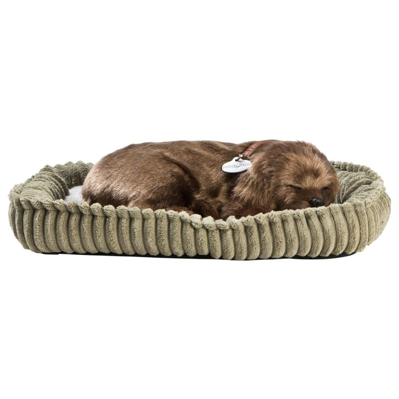 Perfectpetzzz - Sovande hund - Brun Labrador