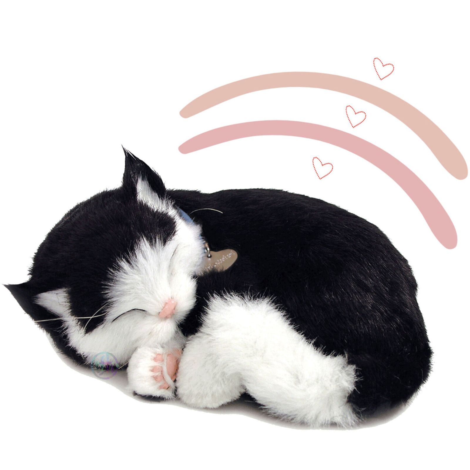Perfectpetzzz - Sovande kattungar