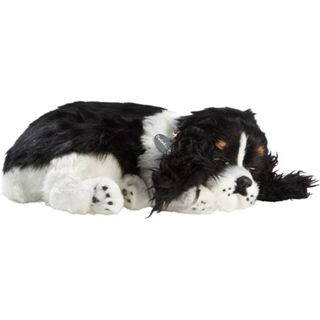 Perfectpetzzz - Sovande hundvalpar