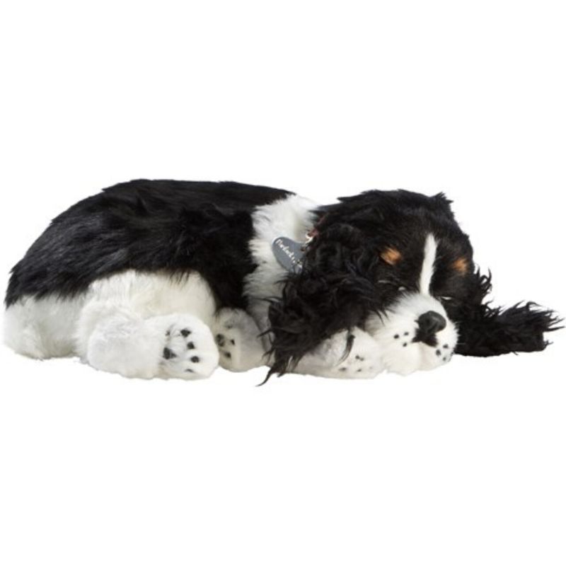 Perfectpetzzz - Sovande hundvalpar