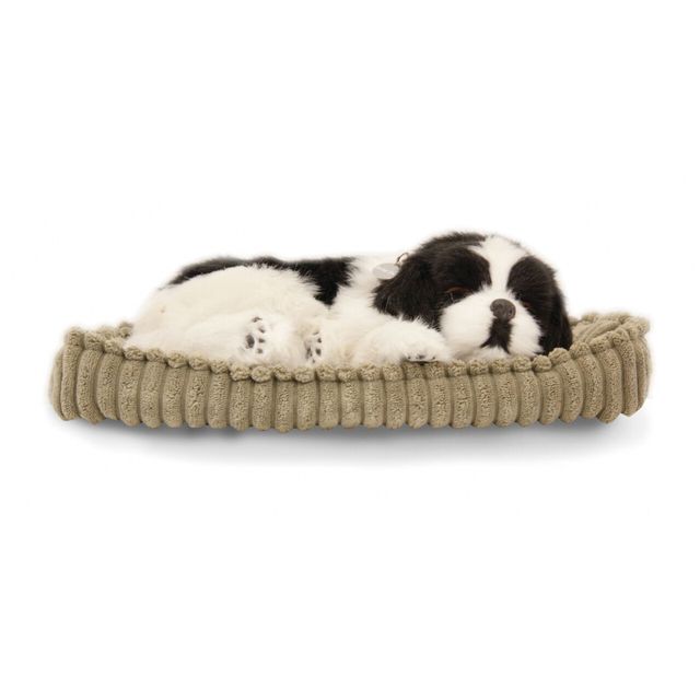 Perfectpetzzz - Sovande hund Border Colli