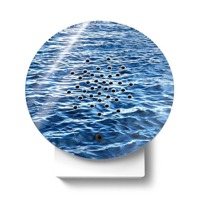 Sensorisk ljudbox - Fågelkvitter