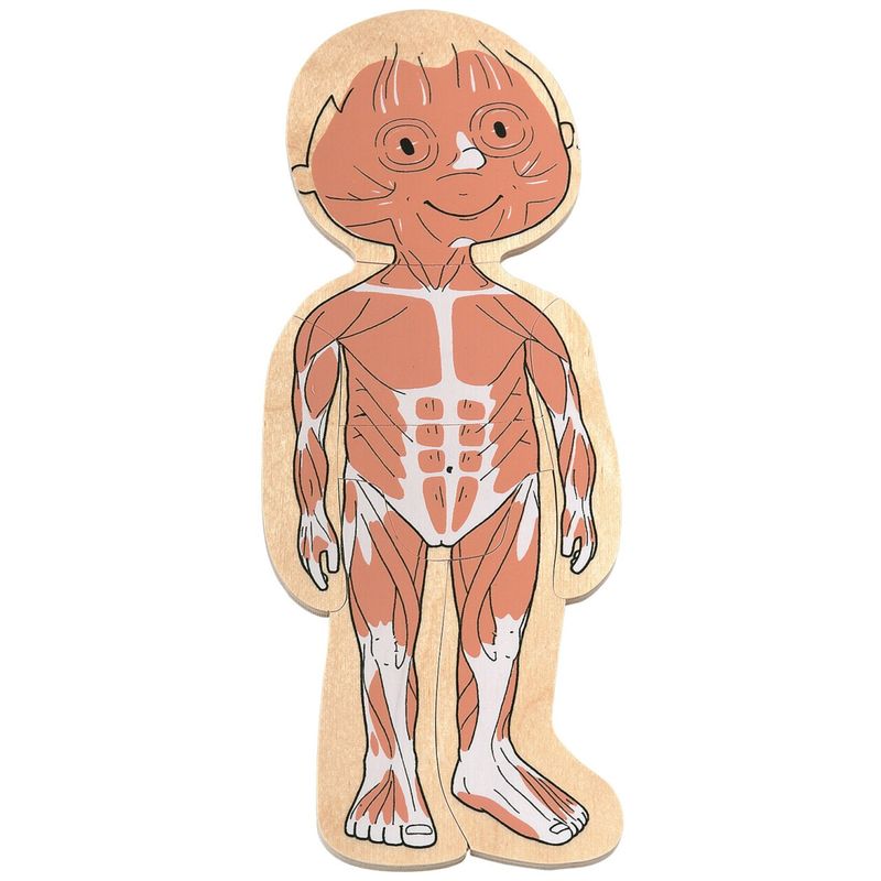 Your Body Boy