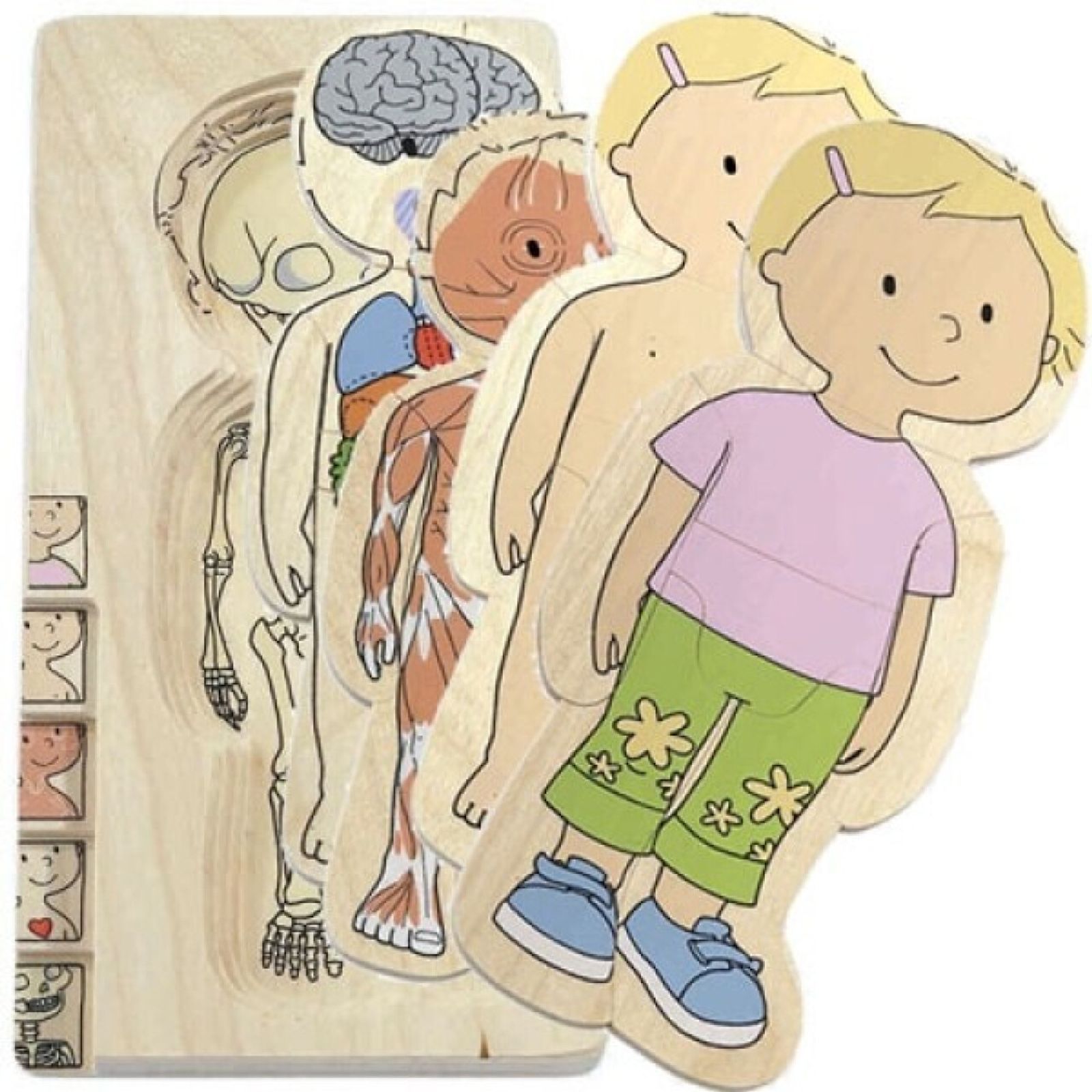 Your Body - Girl - Anatomical Learning Puzzle