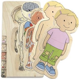 Your Body - Girl - Anatomical Learning Puzzle