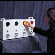 Aroma Fan and Lights Reward  