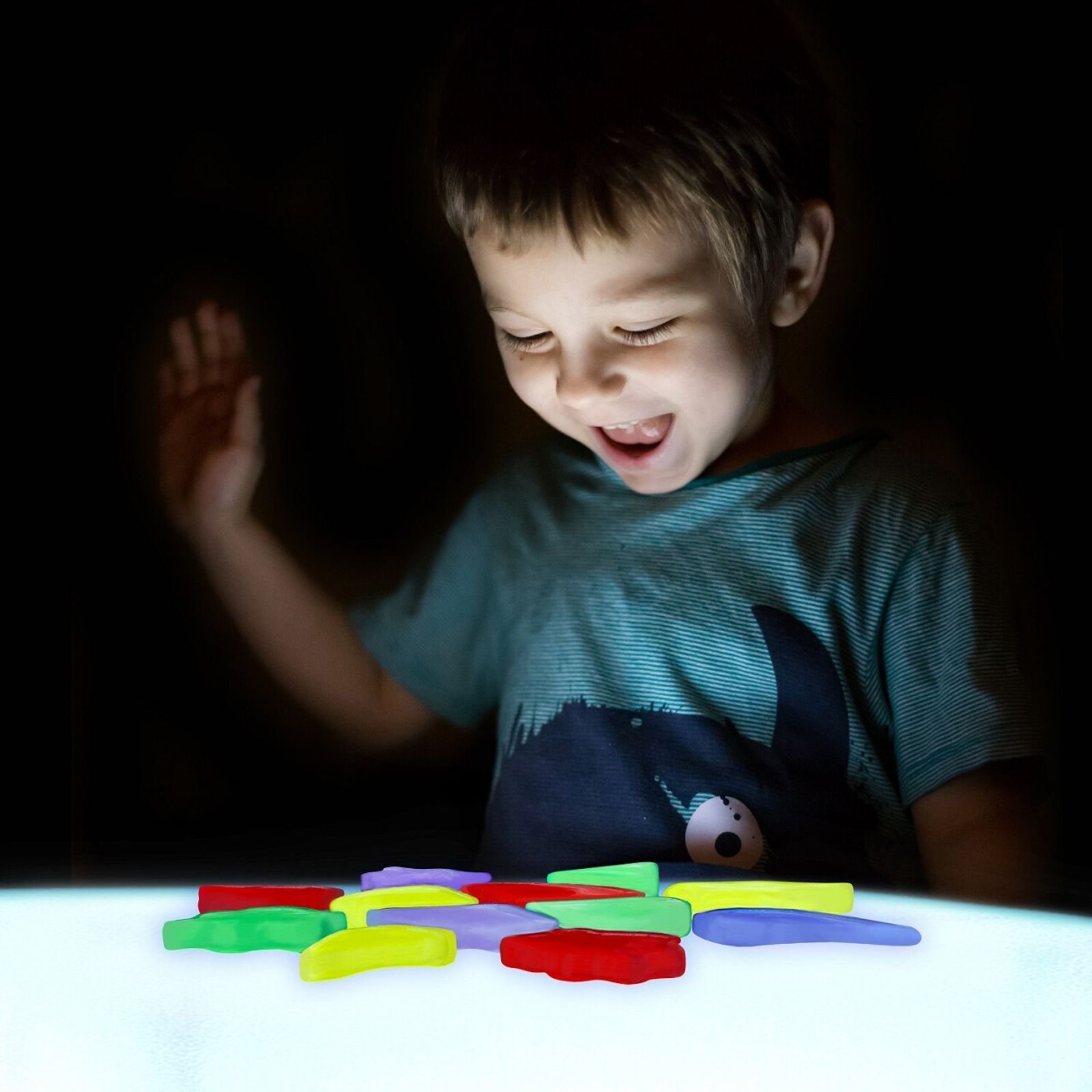 Light Learning Rocks - LIMITED SUPPLY