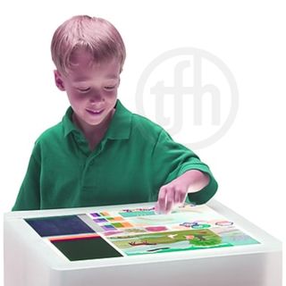 First Look Giant STEM Light Table Kit