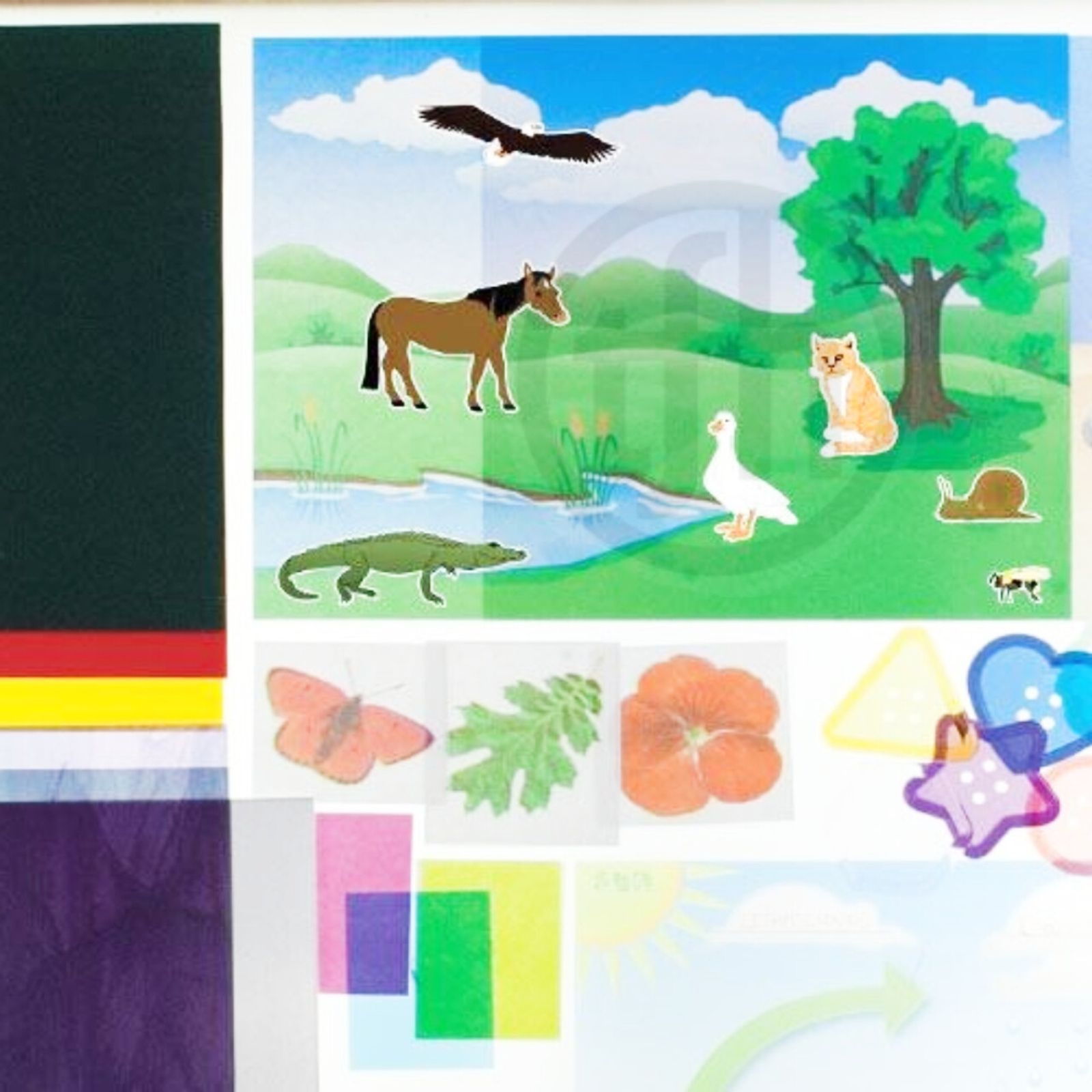 First Look Giant STEM Light Table Kit