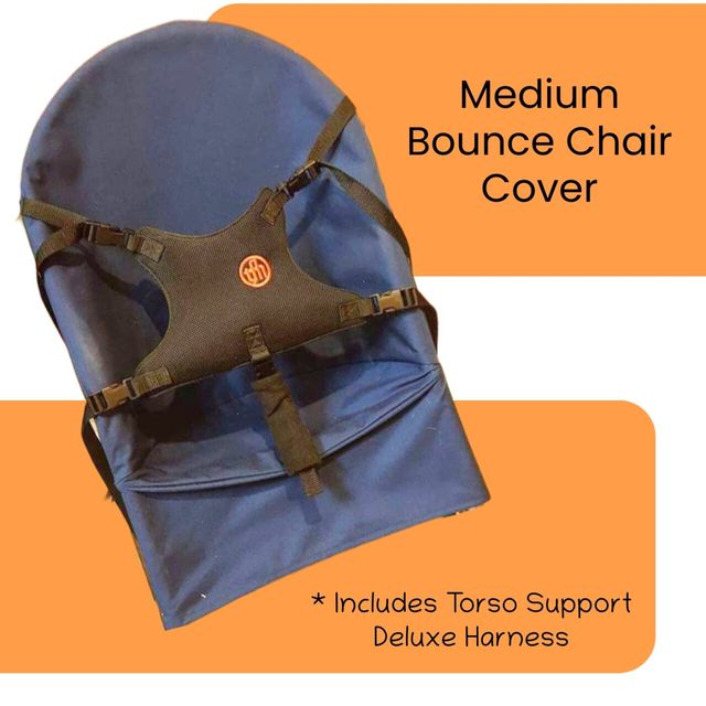 Bouncing Chair - Large Cover