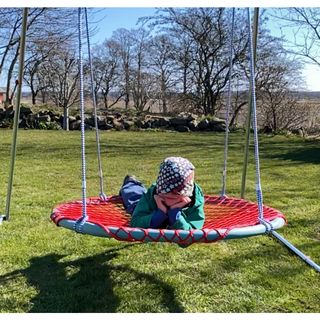 Plattformgunga i nät