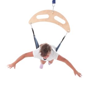 Bungee Frog Swing